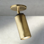 Chempuax Pivoting Flushmount 9" - Cyran Lamps