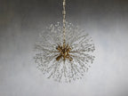 Dandelion Round Chandelier - Cyran Lamps