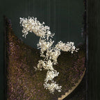 Gingko Combination Chandelier - Cyran Lamps