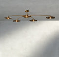 Lily Smoke Glass Flushmount - Cyran Lamps