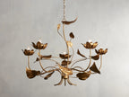 Ninfea Chandelier - Cyran Lamps